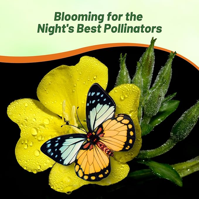 Outsidepride Evening Primrose Seeds - 5000 Pcs Annual, Hardy, Easy to Grow & Low Maintenance Flower Seeds for Planting Vibrant Soft Yellow Blooms, for Containers, Borders & Erosion Control