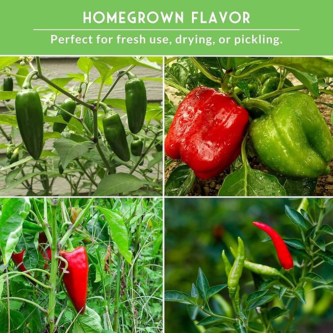 8 Pepper Seed Collection | Heirloom Varieties – Marconi, Chocolate Beauty, Cayenne & More | Non-GMO Seeds for Planting | Survival Garden Seeds