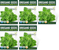 Organic Common Italian Oregano Seeds - USDA Organic, Non-GMO, Open Pollinated, Heirloom (5 Packets - 2.5 Grams - Approx 2250 Seeds)