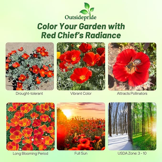 Outsidepride Red Chief California Poppy Seeds for Planting - 1/4 Lbs. Annual, Drought-Tolerant & Easy to Grow Wildflower Seeds with Vibrant Blooms for Landscaping, & Pollinator Garden