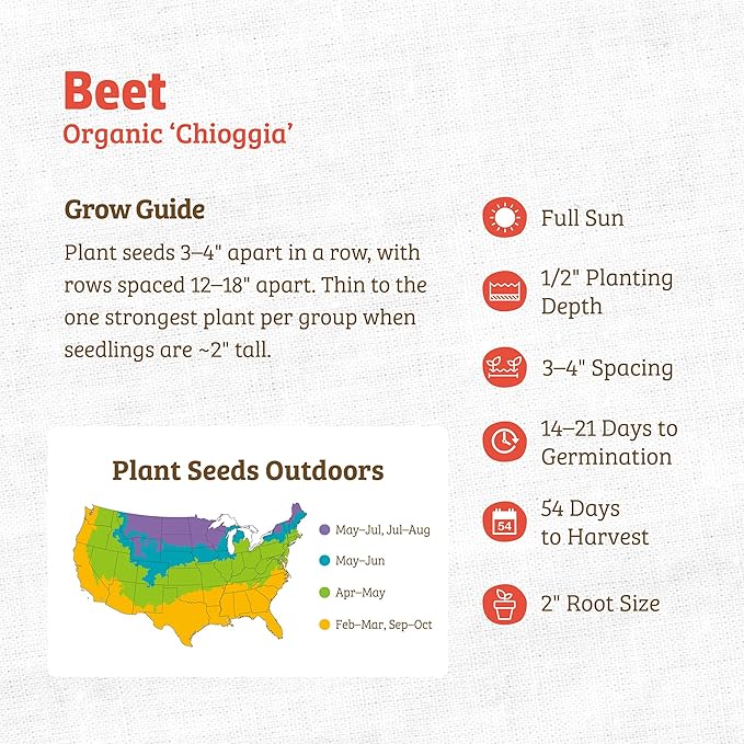 Back to The Roots 100% Organic Seed Packet - Beets 'Chioggia' 500mg