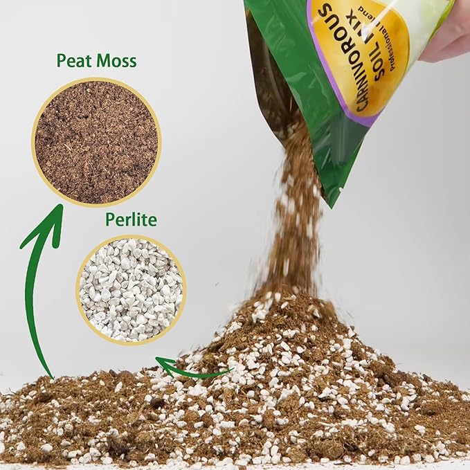 Carnivorous Plant Soil Mix 1qt, Pure Peat Moss and Perlite Mixture for Venus, Pitcher, Butterwort, Nepenthes, Sundew