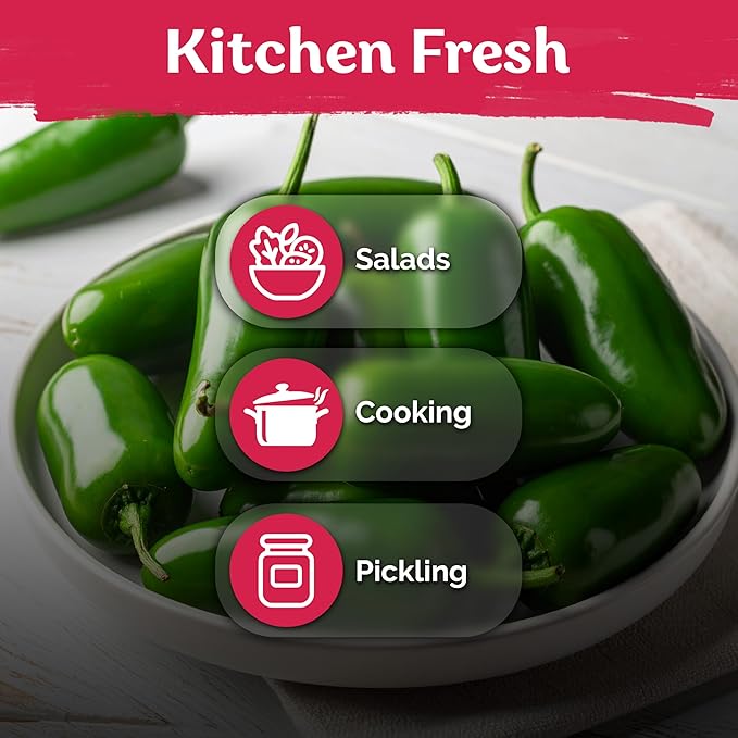 KVITER 100 Tam Jalapeno Pepper Seeds for Planting (Capsicum Annuum) – Mild Spice, Perfect Stuffer Peppers Heirloom Seed, 1000-1500 SHU Hot Jalapeno – Vegetable Seeds for Outdoor & Indoor Garden