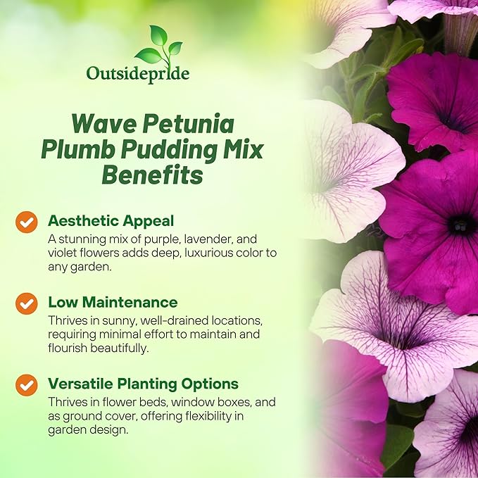 Outsidepride Plumb Pudding Mix Easy Wave Petunia Seeds - 30 Pcs. Annual, Compact & Spreading Flower Seeds for Planting Low Growing Vibrant Blooms, Ideal for Garden Beds, Baskets & Container Displays