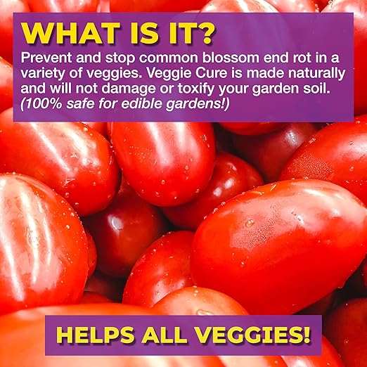 Bloom City Veggie Cure for Blossom End Rot – Liquid Plant Food for Calcium Support, Reduced Blossom End Rot & Healthier Vegetable Growth, 32 oz