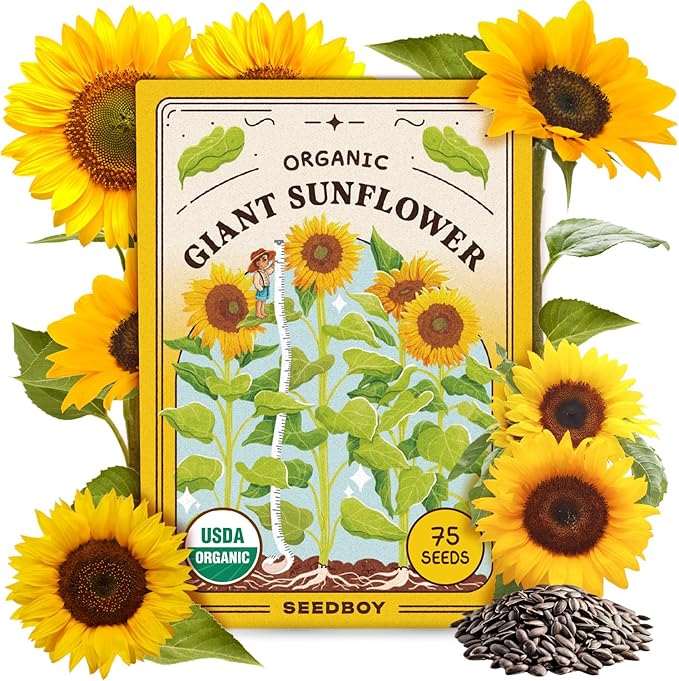 Seedboy Organic Giant Mammoth Grey Sunflower Seeds for Planting Indoor and Outdoor, Non-GMO and USDA Certified Flower Seed Packet for Hydroponic Garden Indoor or Planting Outdoor (Giant Sunflower)