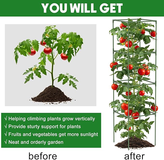 Unves 3 Pack Tomato Cage for Garden, 16" W x 66" H Square Tomato Trellis Plant Support Frame with 50 Pcs Plant Clips, Suitable for Climbing Vegetables, Flowers, and Fruits