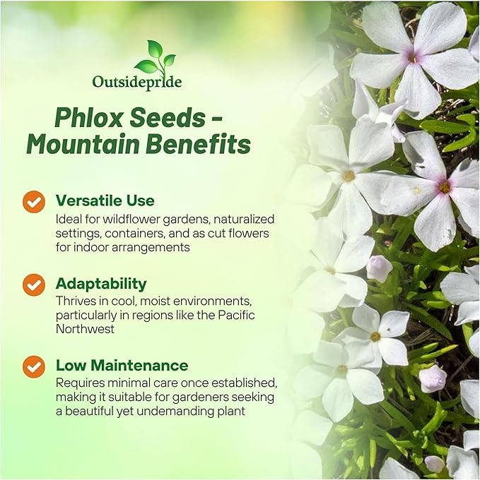 Outsidepride Mountain Phlox Seeds - 5000 Pcs. Annual, Compact & Self-Seeding Flower Seeds for Planting Vibrant White-Lavender Blooms in Pollinator Gardens, Borders, Containers & Floral Arrangements