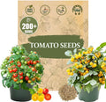 Dwarf Duo Tiny Tim Tomato Seeds - 100+ Red & 100+ Yellow Dwarf Tomato Variety, Cherry Tomato Seeds for Containers, Balcony, Patio, Pots, Indoor Outdoor Gardening, Heirloom, Non-GMO, Easy to Grow