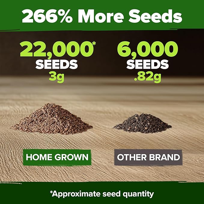 HOME GROWN Purple Creeping Thyme Seeds Non GMO Ground Cover Flowers 22,000+ Edible Herb Seeds for Planting Lawns & Paths 3g Perennial Thymus serpyllum