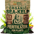 Organic Sea Kelp Fertilizer for Plants – Water-Soluble – Makes 100 Gallons – Kelp Meal Concentrate Plant Food – for Indoor Gardens, Hydroponics, Vegetables, Houseplants - Smart Grower - 4oz Bag