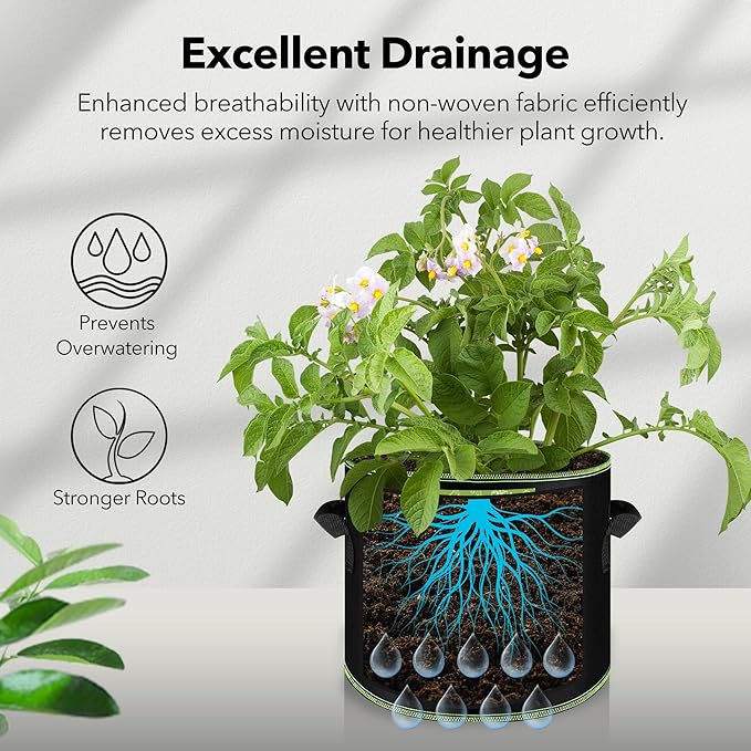 BN-LINK 10-Pack 5 Gallon Grow Bags, Heavy Duty Aeration Fabric Pots with Handles, Thickened Nonwoven Plant Bags for Vegetables, Flowers, Fruits