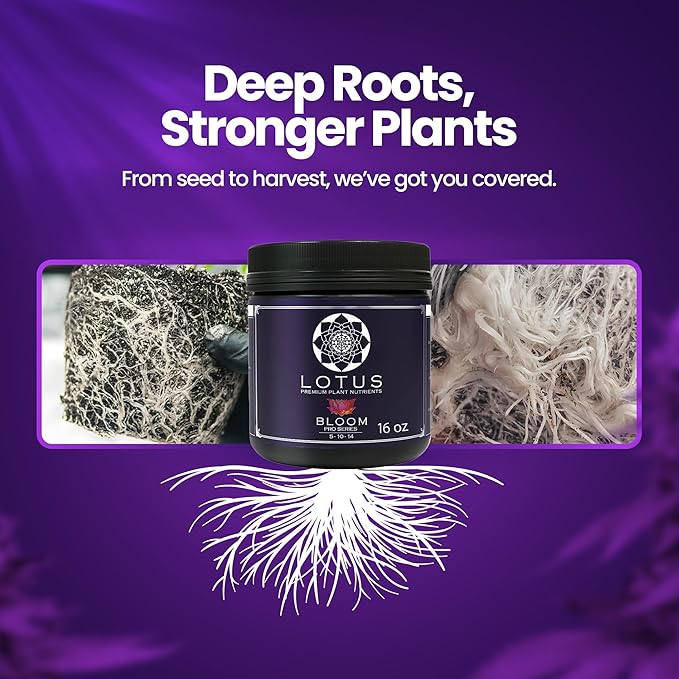 Lotus Nutrients Bloom Pro Series, Water Soluble Hydroponic Plant Food for Flowering and Fruiting, 14+ Ingredient Powder with 100% Chelated Micronutrients and Amino Acids, Coco Coir, Hydro, Soil (16oz)