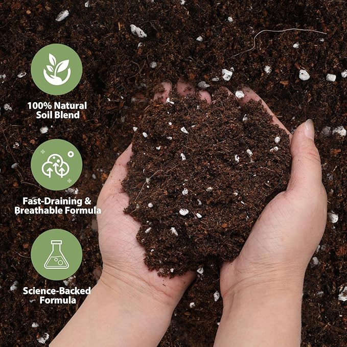 All-Natural Strawberry Soil & Potting Mix 1qt - Premium Potting Soil for All-Stage Strawberry Growth