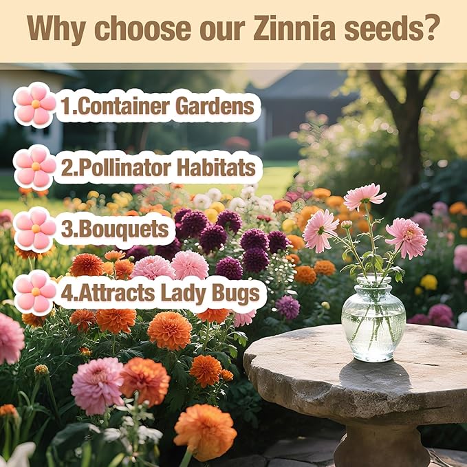 16000+ Zinnia Flower Seeds for 2026-7+ Color Mix, High Germination Rate, Perfect for Gardens, Mix Zinnia Wildflower Seeds, Mixed Colors and Large Blooms, Easy to Grow, Large 4 Ounce Packet