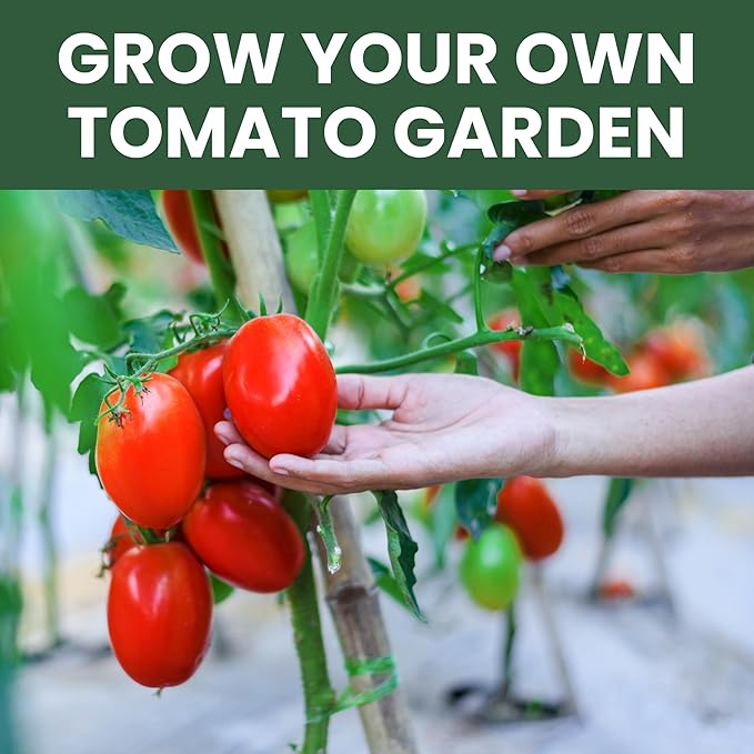 Tomato Seeds | 10 Invidiual Packs | 2025 Season | Non-GMO | Roma, Brandywine, Cherry & More! | for Planting Indoor & Outdoor | by Family Sown