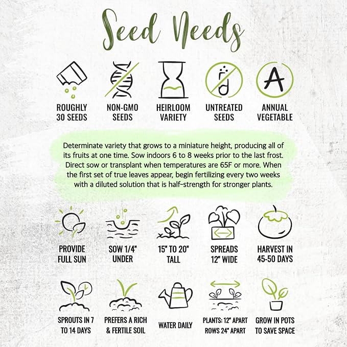 Seed Needs Tiny Tim Tomato Seeds for Planting Dwarf Cherry Tomatoes - Non-GMO Heirloom & Untreated Veggie Seed to Plant a Home Grown Outdoor Vegetable Garden (2 Packs)