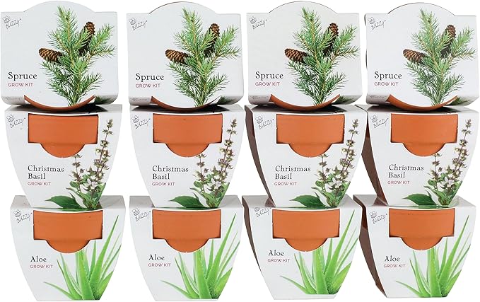 BUZZY Seeds Radiant Collection 12-Pack – All-in-One Mini Terracotta Seed Starter Kit for Herbs, Succulents, and Trees, Includes Aloe, Christmas Basil, and Spruce Seeds, Perfect Gardening Gift