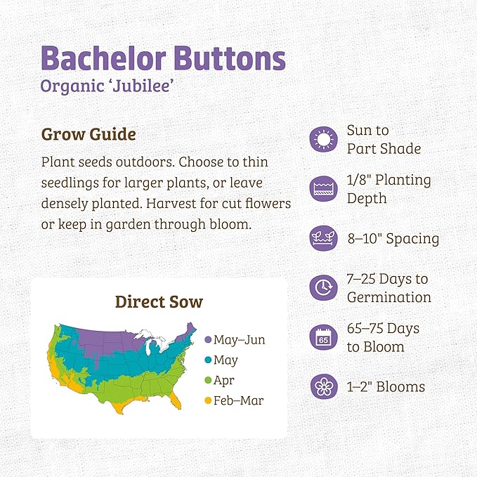 Back to The Roots 100% Organic Seed Packet - Bachelor Buttons 'Jubilee' 420mg