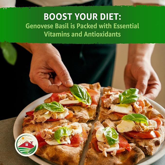 TKE Farms & Gardens - Genovese Basil Seeds for Planting, 600+ Heirloom Non-GMO Italian Basil Seeds, Sweet Culinary Herb, Grow Indoors or Outdoors, Delicious Basil Plants, Instructions Included