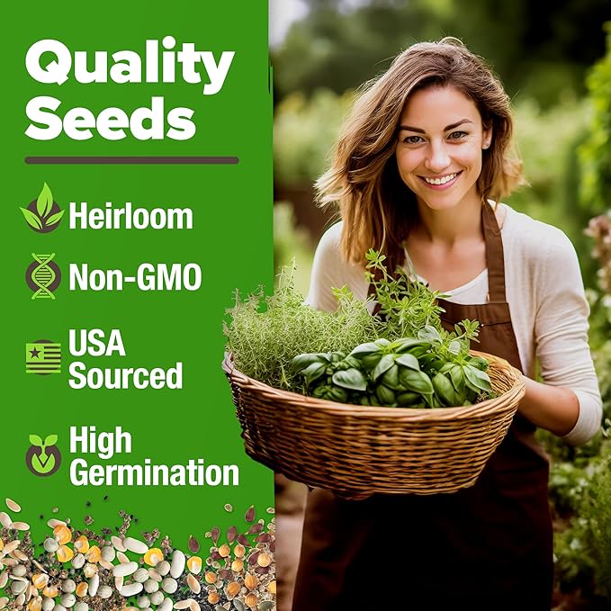 HOME GROWN Mint Seeds Variety Pack - 600+ Heirloom Non-GMO USA Peppermint, Spearmint & More - Herb Seeds for Planting Indoor Outdoor Garden - Fresh Mint for Tea & Cooking