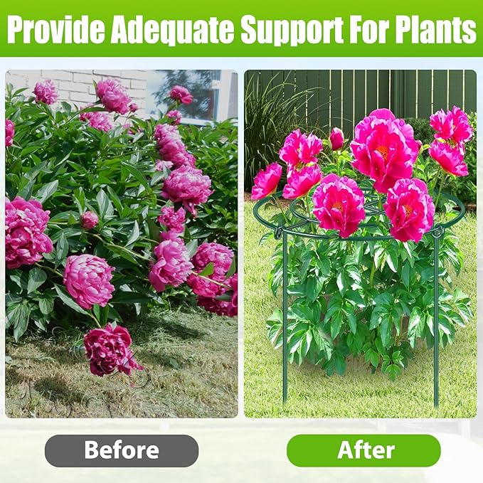8 Pack Peony Cages and Supports, 11.5" Dx16 H Plant Supports for Outdoor Plants, Heavy Duty Metal Peony Support Cage Flower Support Rings, Plant Support Ring for Rose Tomato Hydrangea Strawberry