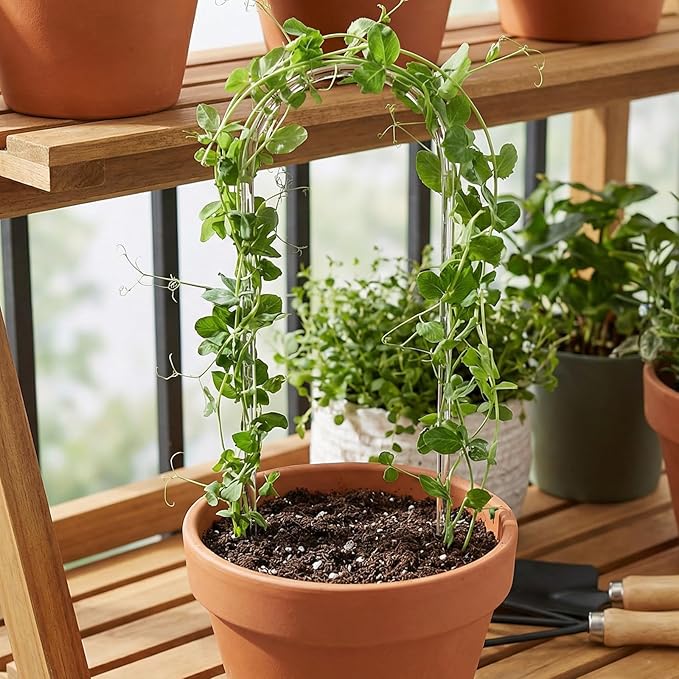 2 Pack U-Shaped Clear Acrylic Trellis for Hoya Trellis, Small Plant Trelli for Indoor Potted Plants Climbing Plant Trelli with 20 Straps Garden Accessories for Hoya, Pothos