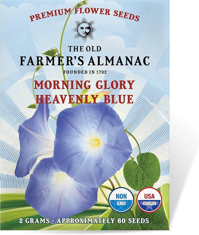 The Old Farmer's Almanac Morning Glory Seeds (Heavenly Blue) - Approx 50 Flower Seeds - Premium Non-GMO, Open Pollinated, USA Origin