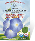The Old Farmer's Almanac Morning Glory Seeds (Heavenly Blue) - Approx 50 Flower Seeds - Premium Non-GMO, Open Pollinated, USA Origin