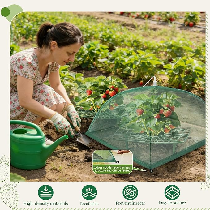 6 Sets Strawberry Plant Support with Mesh Plant Cover, Strawberry Growing Rack Kit with 24 Iron Plant Nails for Garden, Strawberry Growing Frame with Protective Net for Strawberries Tomatoes Veggies
