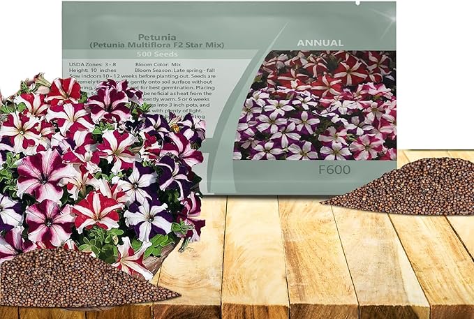 Outsidepride Star Multiflora Petunia Seeds - 500 Pcs. Annual, Compact, Flower Seeds for Planting, Vibrant Blooms, Ideal for Garden Beds, Hanging Baskets & Container Displays