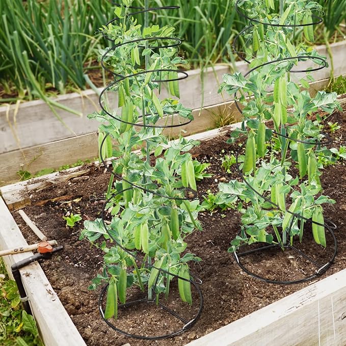 Pea Trellis Green Bean Trellis for Garden - 2 Pack Sugar Snap Tower Stretchable to 50in with Poles, Metal Climbing Plant Growing Cage Support for Cucumber Vine Vegetable Indoor Outdoor