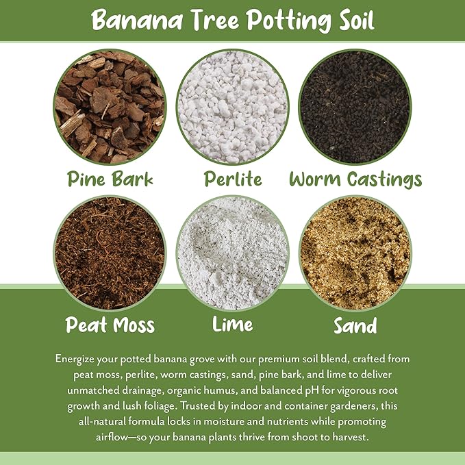 Soil Sunrise Banana Tree Potting Soil Mix (12 Quarts) – Hand-Blended Indoor/Outdoor Mix for Healthy Banana Plants – Enhances Drainage & Root Support – Made in USA