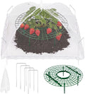 12 Sets Round Strawberry Plant Support with Mesh Plant Cover, Strawberry Growing Kit with Iron Nails for Garden Vegetables Keep Berries Clean