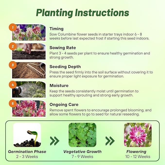 Outsidepride Nora Barlow Columbine Seeds - 1000 Pcs Perennial, Easy to Grow Flower Seeds for Planting, Suitable for Pollinator-Friendly Garden, Cut Floral Arrangements, Ground Covers, or Borders