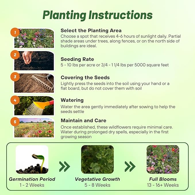 Outsidepride Partial Shade Wild Flower Seed Mix for All States - 1 lb. Premium Blend of Annual & Perennial Wildflowers, Perfect for Partial Shade Areas, & Outdoor Planting for Gardens & Lawns