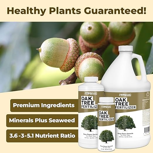 Oak Tree Fertilizer – Liquid Plant Food for Healthy Tree Growth, Rich Green Foliage & Stronger Roots, 1 Gallon