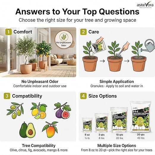 Olive Tree Fertilizer – Fruit Tree Fertilizer for Olive Tree, Citrus, Lemon, Lime, Fig, Avocado, Mango, Apple & Pomegranate – for Potted & Outdoor Trees (3 quarts - 6 lbs.)