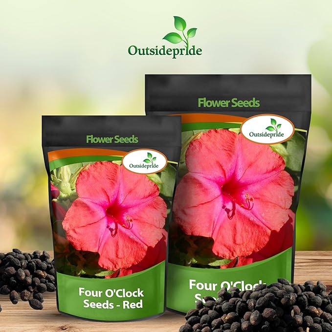 Outsidepride Red Four O'clock Flower Seeds - 1 lb Perennial Fragrant, Trumpet-Shaped Blooms, Deer-Proof & Easy to Grow, for Pollinator & Evening Gardens, Containers, Hedges, or Borders