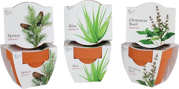 BUZZY Seeds Terracotta Mini Grow Pots 6-Pack Radiant Series – Mixed Herb, Succulent, and Tree Seed Kit for Indoor Gardening and DIY Projects
