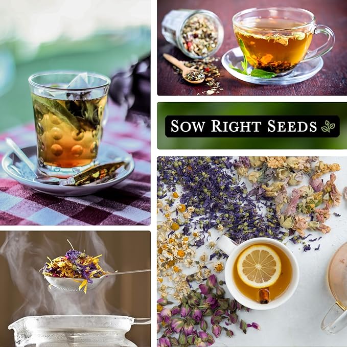Sow Right Seeds - Large Herbal Tea Garden Seed Collection for Planting - Lemon Balm, Mint, Chamomile, Lavender, Echinacea, Borage, Hyssop, Calendula, and Holy Basil Tulsi - Non-GMO Heirloom to Grow