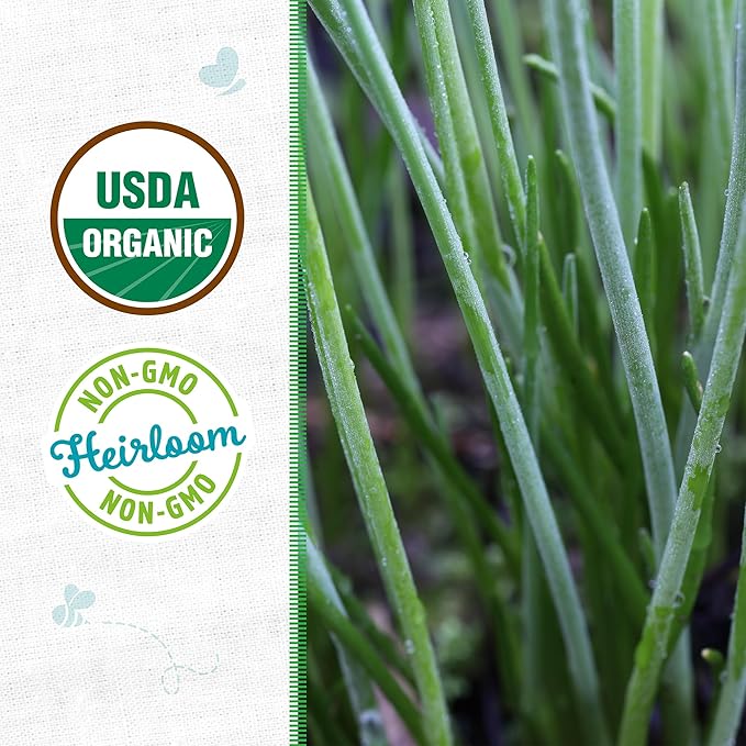 Back to The Roots 100% Organic Seed Packet - Chives 'Garlic' 140mg