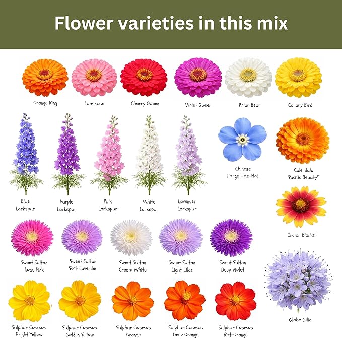 Cut Flower Garden Seed Mix – 15,000+ Seeds – 1 oz Extra Large Packet – Non-GMO Flower Seeds – Zinnia, Cosmos, Larkspur, Calendula, Bishop’s Flower & More for Bouquets & Cutting Gardens