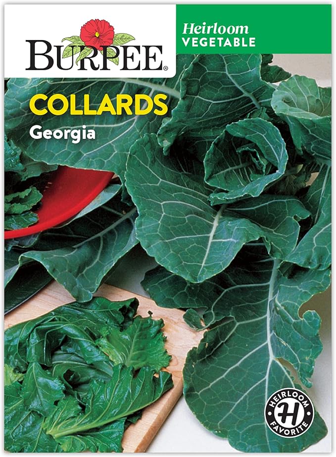 Burpee Georgia Collards Seeds - Heirloom Southern Cooking Greens