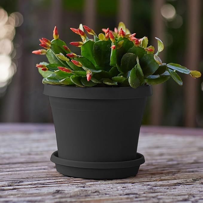 Bloem Terra 6" Diameter Round Black Resin Planter Pot with Drainage Holes for Indoor and Outdoor Gardening