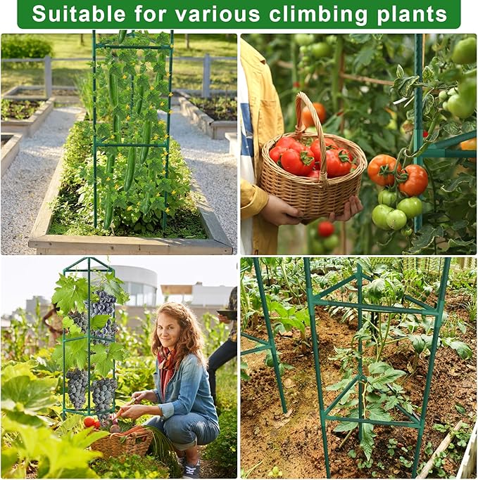 3 Pack Tomato Cages for Garden, 46.85Inches Tall Tomato Plant Support Stakes Adjustable Heavy Duty Steel Plant Tower Stakes, Updated Cucumber Trellis Garden Cages for Climbing Vegetable Flowers Fruits
