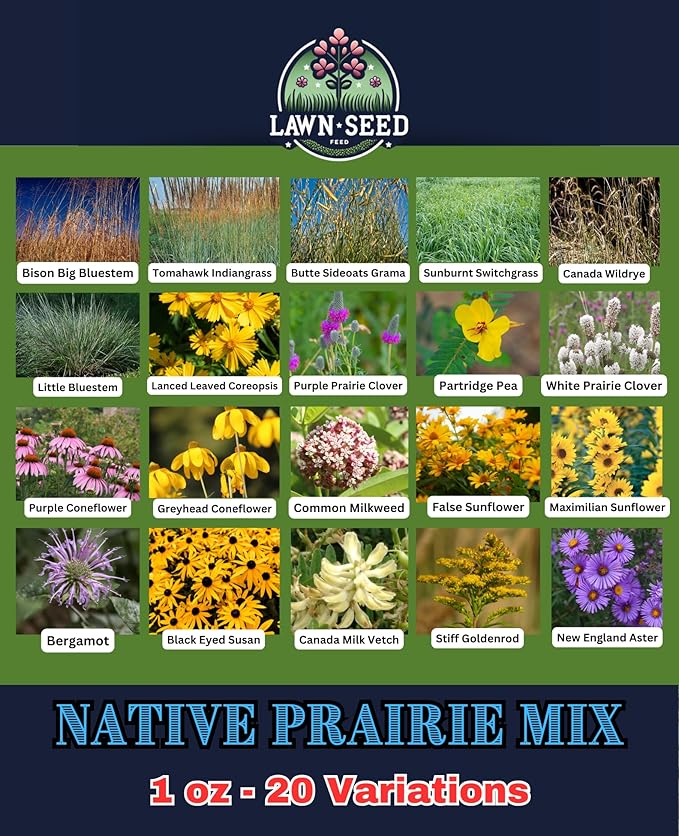 Native Prairie Wildflower Mix (1oz) Sprinkle a Little Magic—Our Shade, Perennial, Hummingbird, Deer-Resistant, and Other mixes Bring Vibrant Color and pollinator Joy to Any Space.