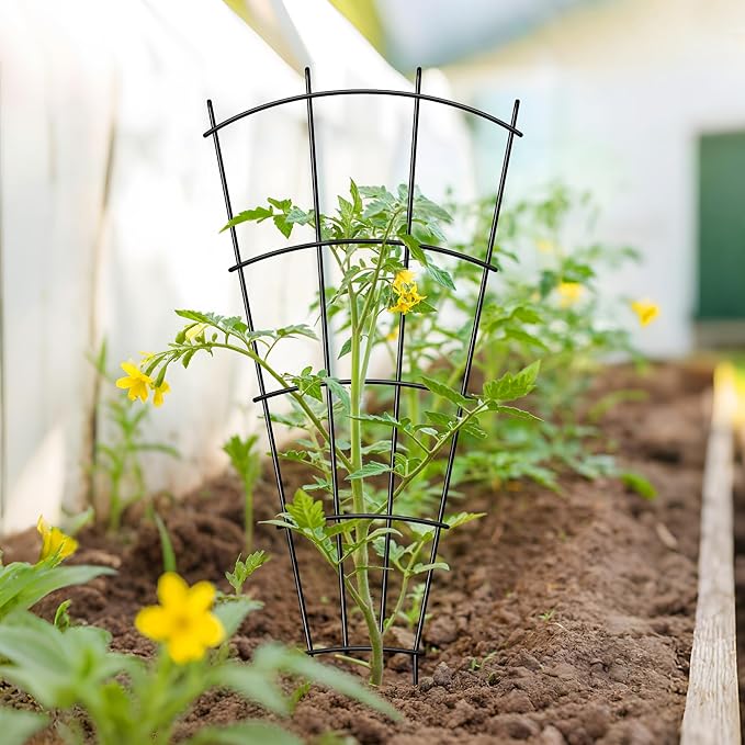 4 Pack 43" Metal Plant Trellis for Pots & Garden Beds, Rustproof Support for Indoor Outdoor Climbing Plants, Vines, Flowers, Fan Shaped, Black