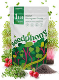 Radish Sprouting & Microgreens Seeds - 50,000 Non-GMO Heirloom Seed, 1lb Resealable Bag - High-Germination Radish Seeds for Sprouting in Jars, Soil, Hydroponics & Microgreen Trays