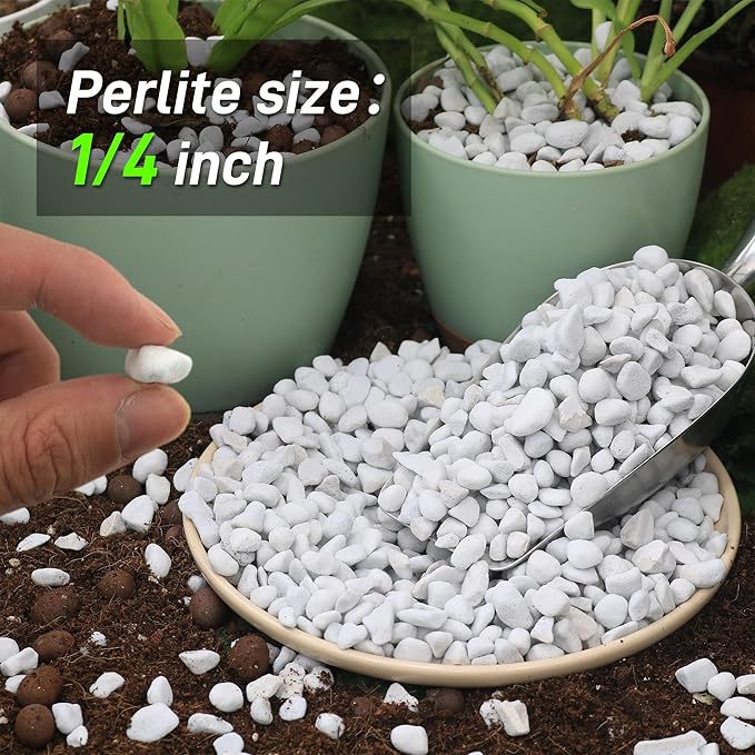 18 Quarts Chunky Perlite for Plant Soil Amendment for Potting Soil, Improves Drainage and Aeration for Soil, Ideal for Succulents, Orchid, Flower Plants (1/4 inch)